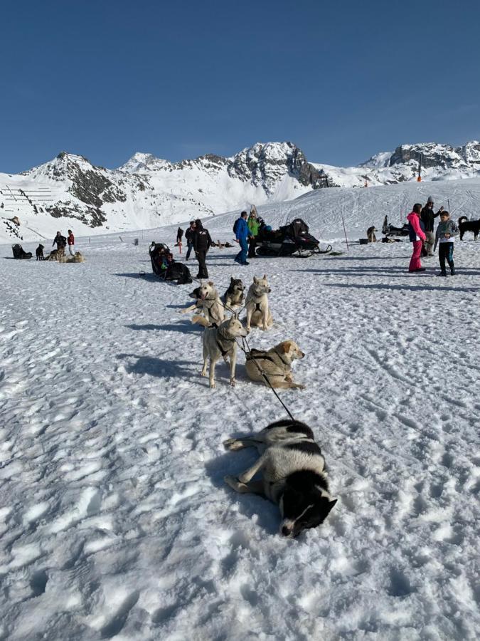 Bel Appartement Ski Aux Pieds Plagne Bellecote Ла План Екстериор снимка