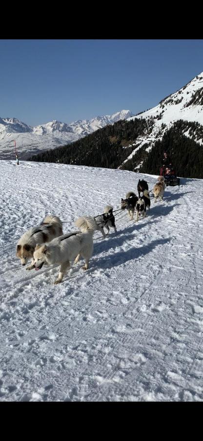 Bel Appartement Ski Aux Pieds Plagne Bellecote Ла План Екстериор снимка